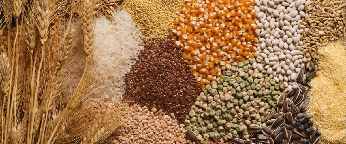 blog-mackace-na-obili-2